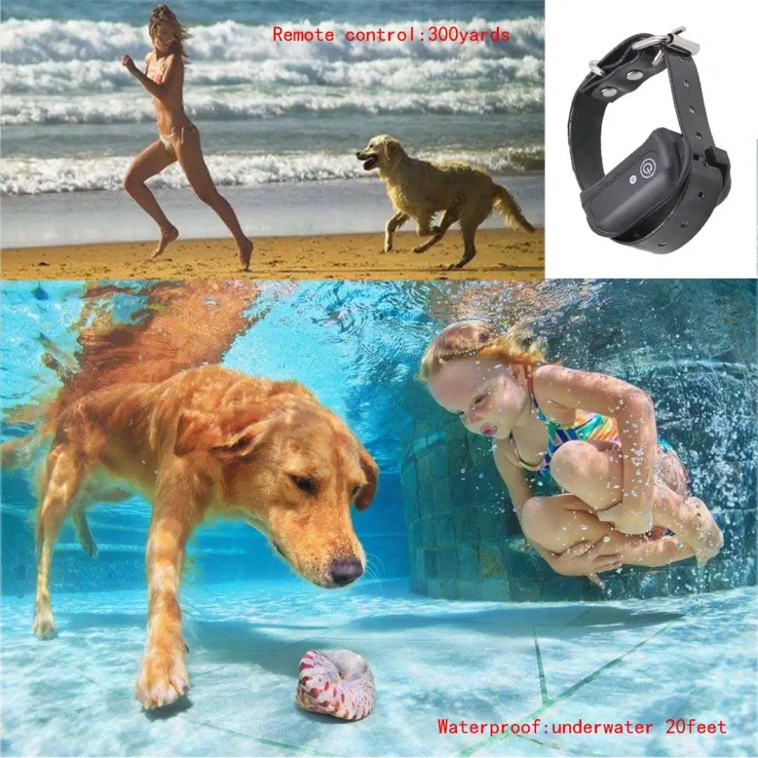 Dog Electronic Trainer Collar Waterproof Rechargeable LCD Electric  for sale