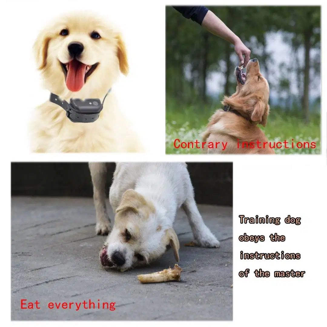 Dog Electronic Trainer Collar Waterproof Rechargeable LCD Electric  for sale