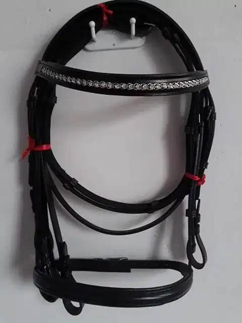 Horse bridle set for sale in sialkot