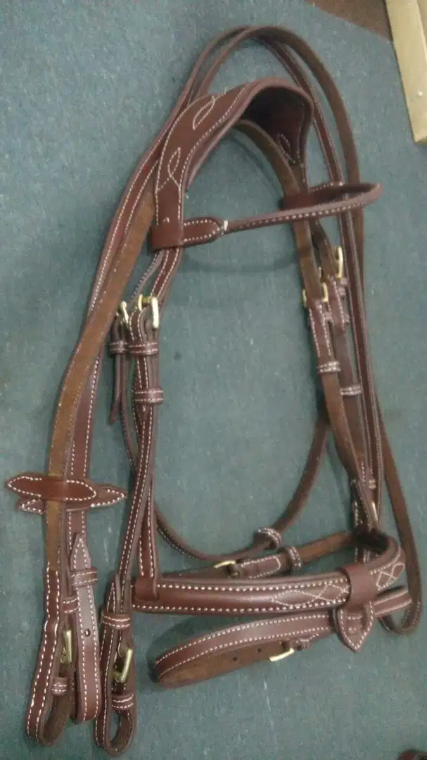 Horse bridle set for sale in sialkot