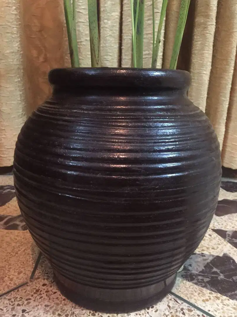 Areca Palm (indoor) For Sale in Karachi