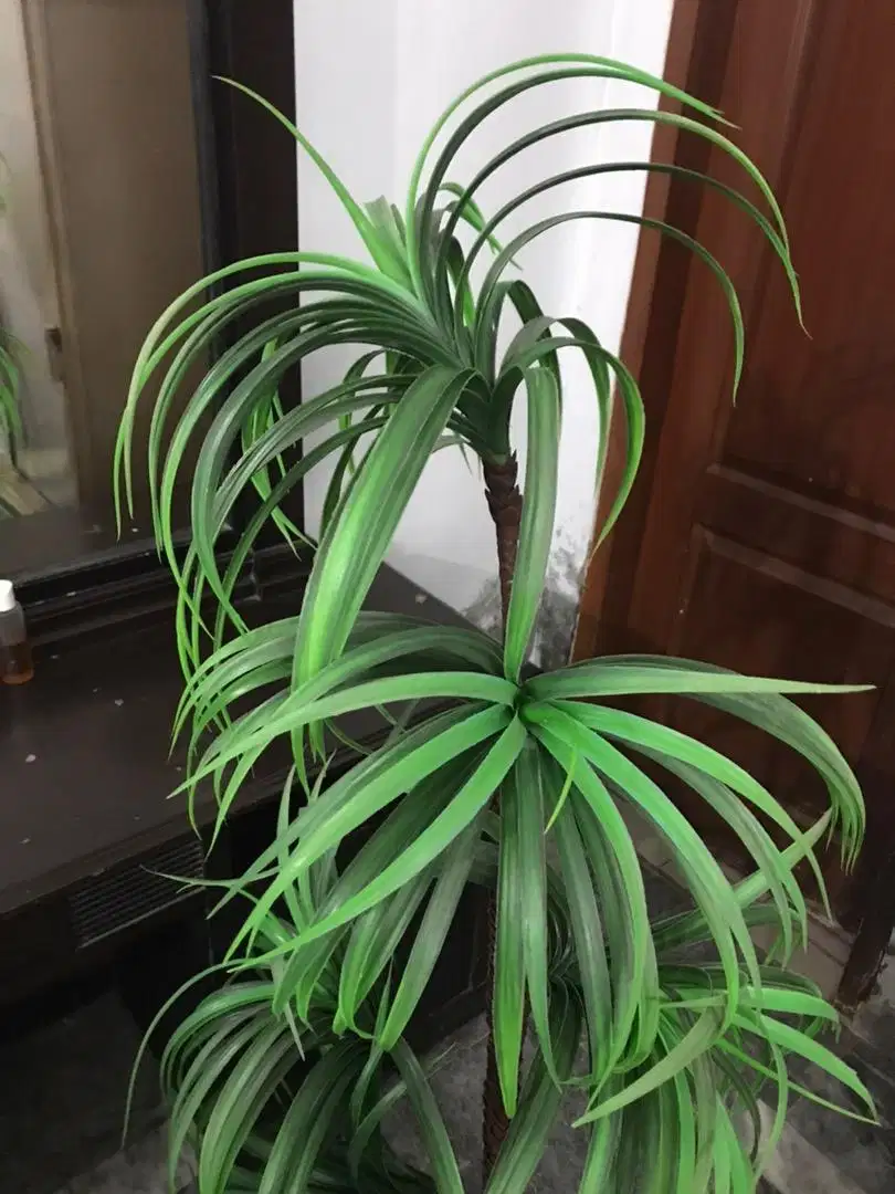 Artificial plant Available For Sale In Lahore