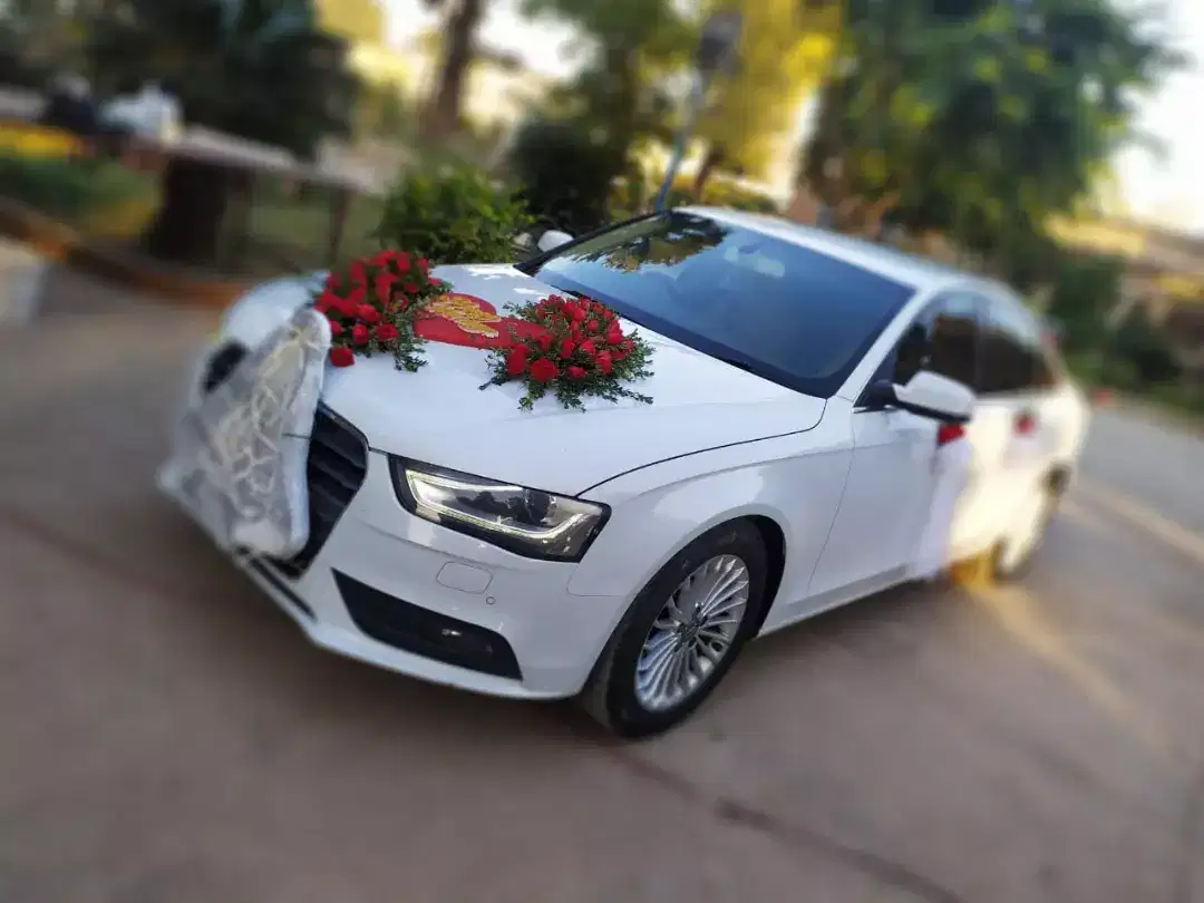 Apv,Parado,vigo,Rivo,V8 Car For Rent in Rawalpindi
