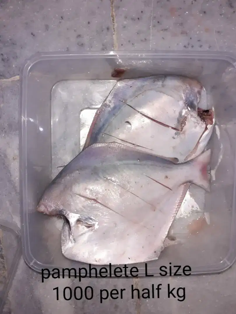 Farm fresh brings clean and fresh seafood For Sale in Karachi