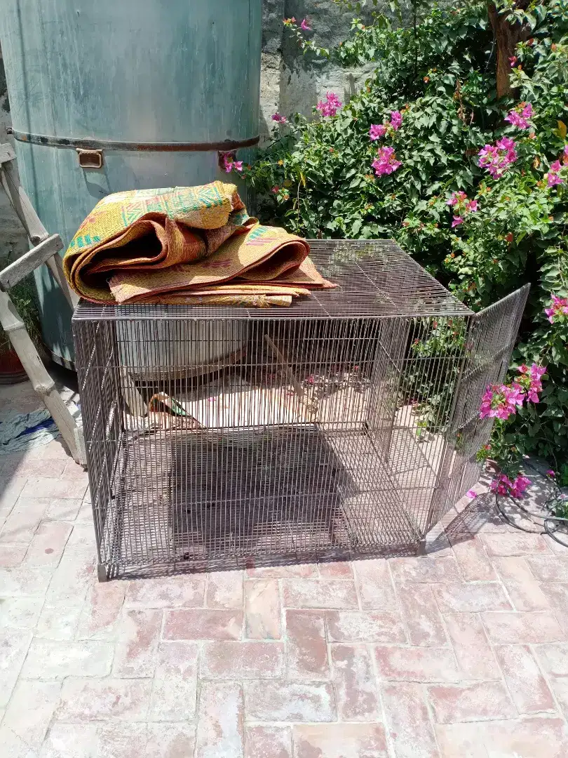 Cage wire available for sale