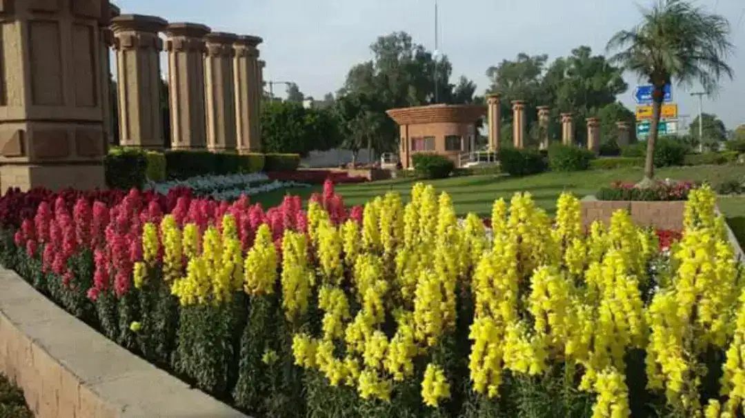 10 Marla plots Available for Sale in wapda city Faisalabad