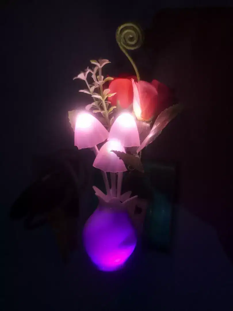 New Beautiful Mashroom Night Light with night Sensor Available for Sale in Wah