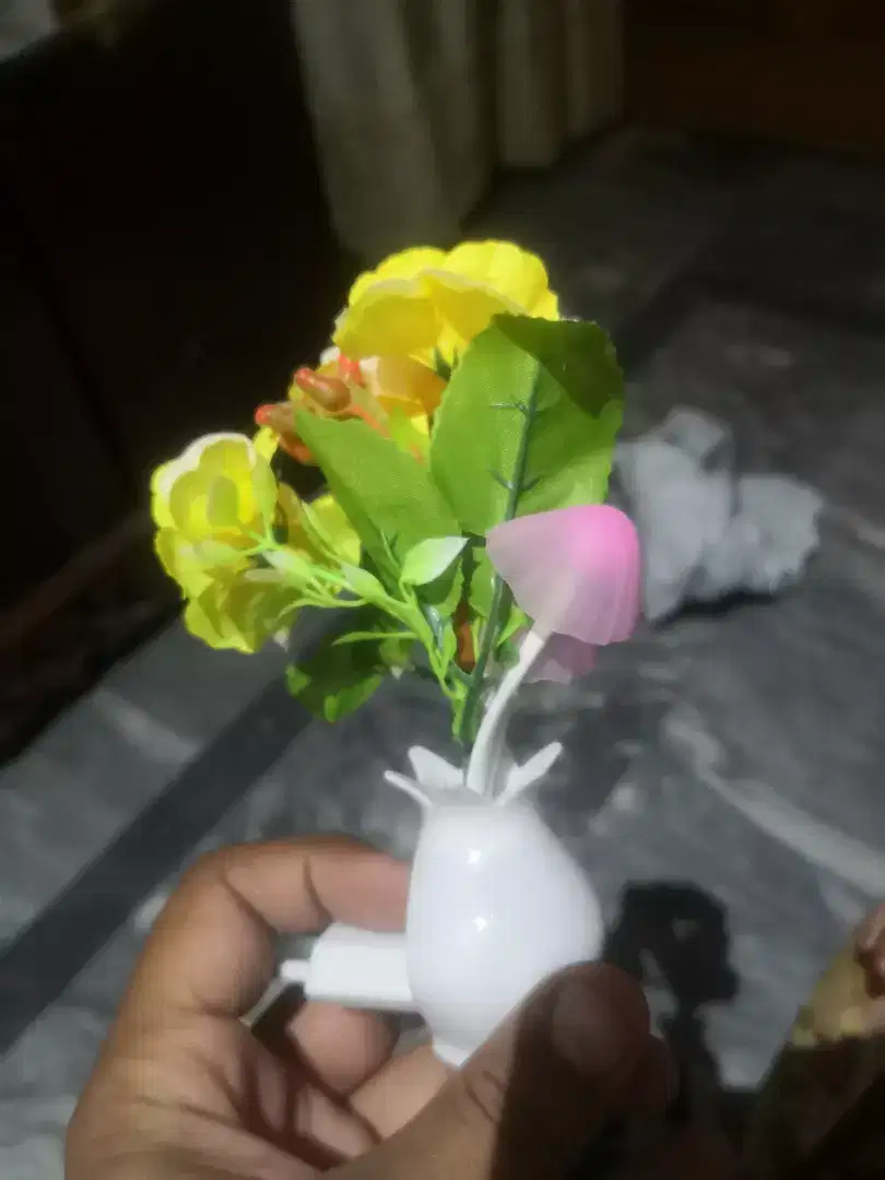 New Beautiful Mashroom Night Light with night Sensor Available for Sale in Wah