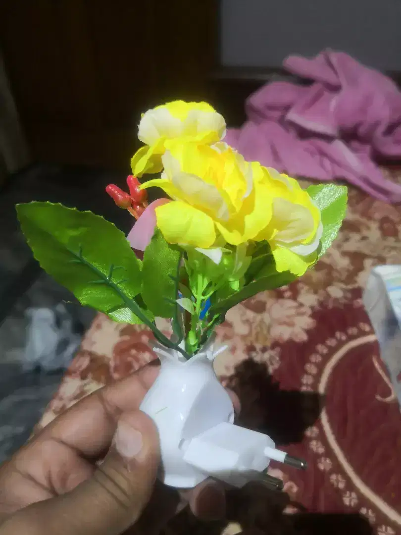 New Beautiful Mashroom Night Light with night Sensor Available for Sale in Wah