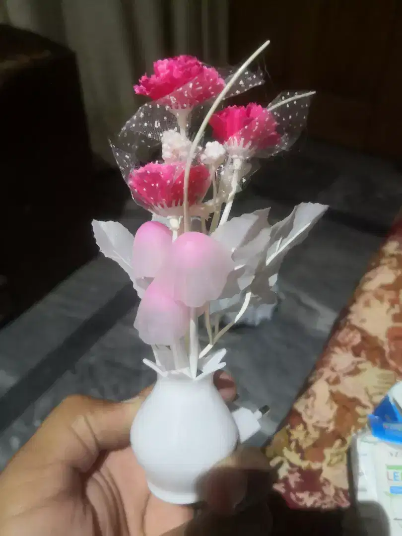 New Beautiful Mashroom Night Light with night Sensor Available for Sale in Wah