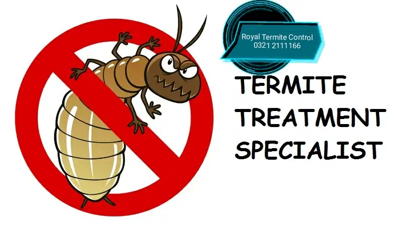 Royal Termite Control Available in Sargodha