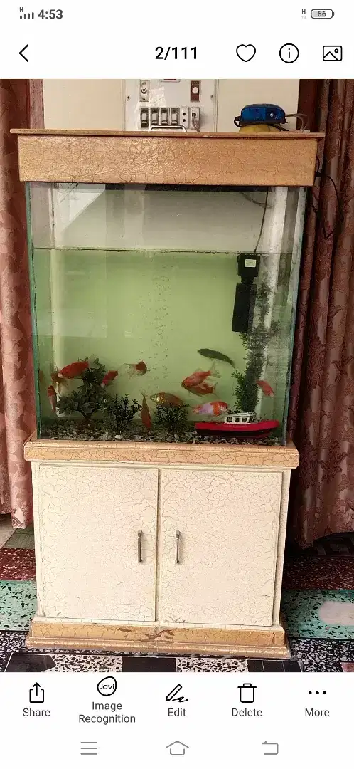 Fish Aquarium available for sale