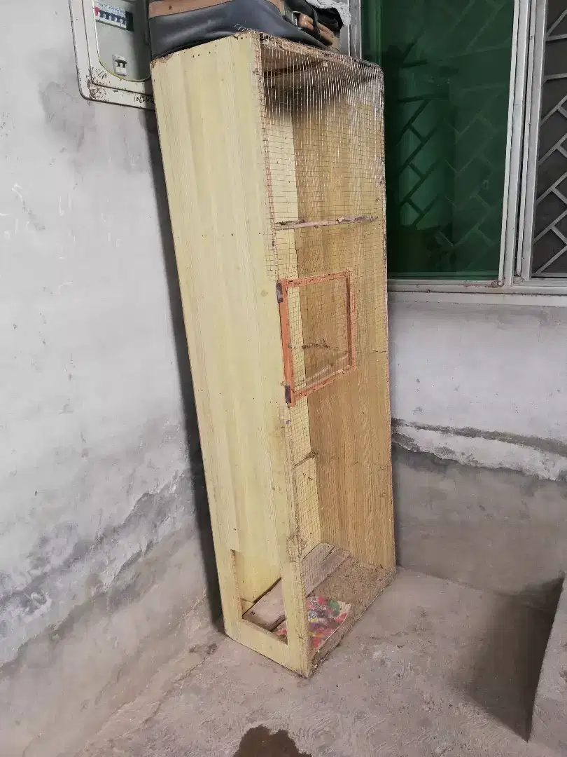 Birds Cage available for Sale in Bahawalpur