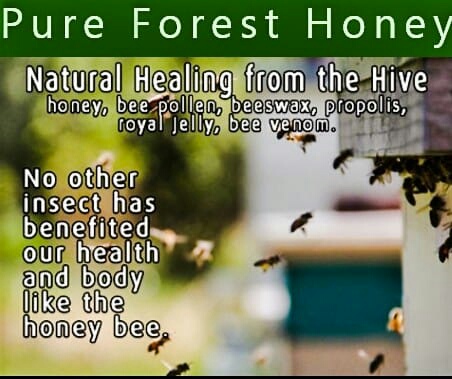 Pure Forest Honey with Money back Guarantee