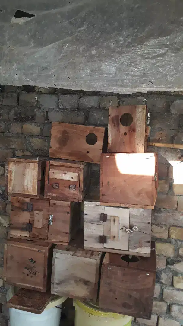 Used Gym Equipment available for sale