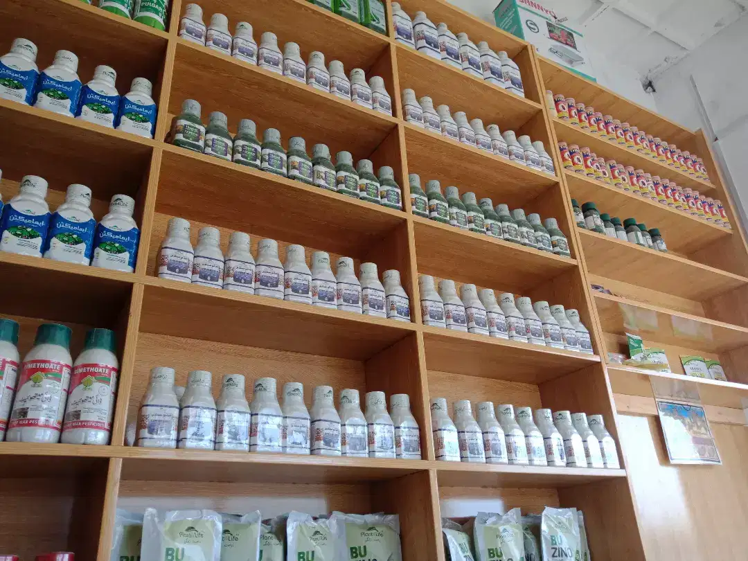Any type of high quality seeds available for sale dilivry applied all pakistan