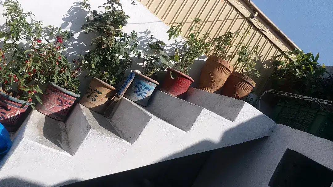 New Gamla with fllowers 27 gamly Available for Sale