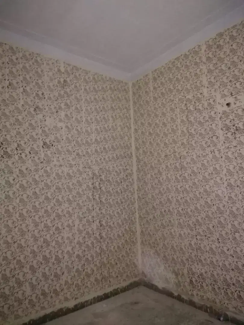 5 marla House for Rent