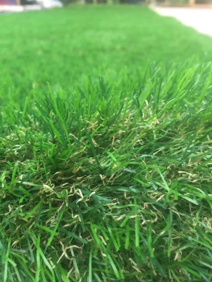 New artificial grass 20 MM Available for Sale in Dera Ismail Khan
