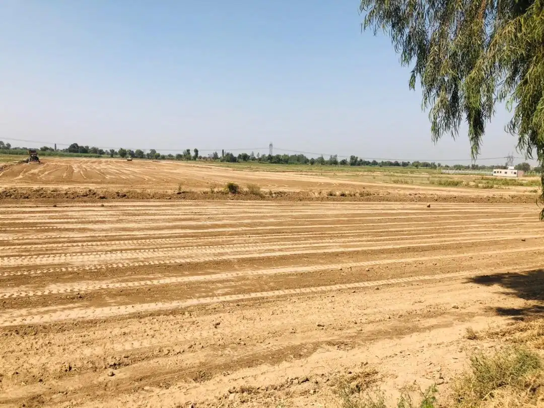 3 Marla plot for sale in easy monthly installment 5 year plan in Faisalabad