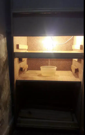 Incubator Available for sale