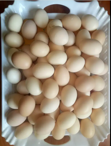 Desi eggs available for sale
