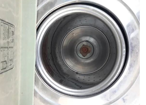 fine asia dryer