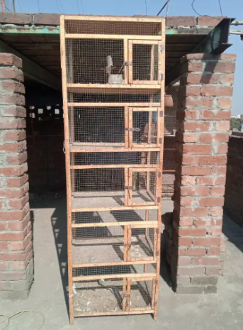 Cage 5 portion Available for sale