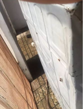 Urgeñt sale need cash no folish ofer please