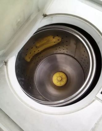 Dryer machine (Ever fine company)
