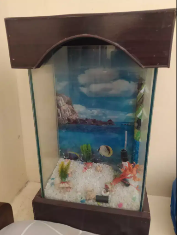Aquarium Available For Sale