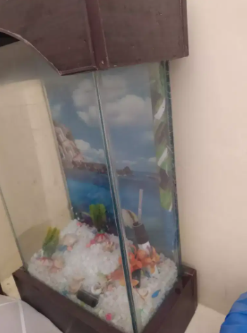Aquarium Available For Sale