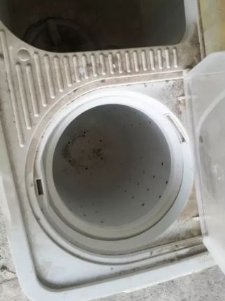washing machine