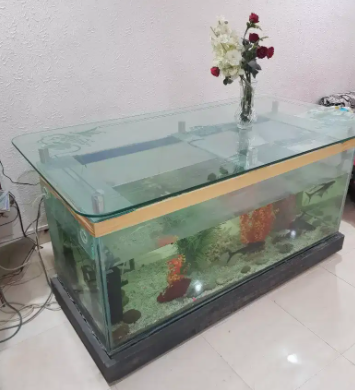 large Fish Aquarium Available for sale