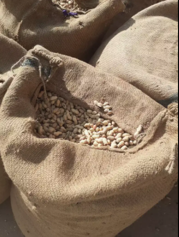 Good quality peanuts available all over Pakistan