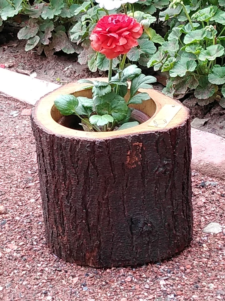 Wooden planter