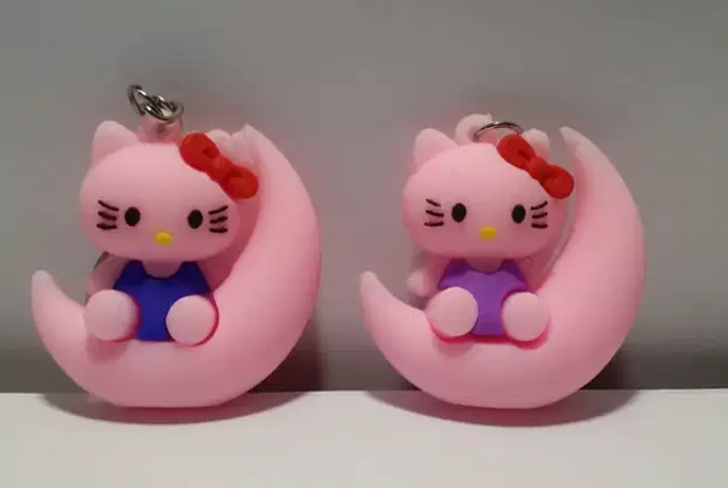 Brand new unused Pack of Two Key Chains - Cute Kittens for sale