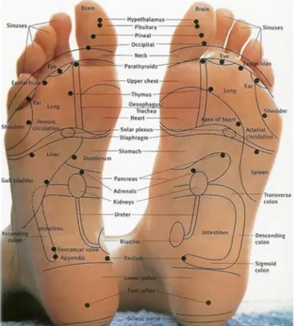 Reflexology Acupressure Foot Massage Slipper Available for Sale