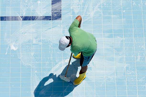 SWIMMING POOL TILE CLEANER