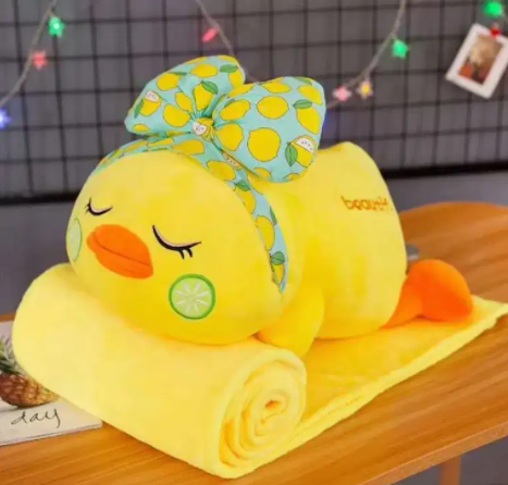 Soft Kids Blanket with Pillow Available for Sale in Karachi