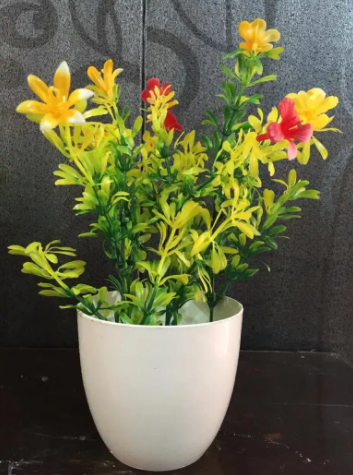 New 12 Sale is ON. Plants and Flowers with pots Available for sale