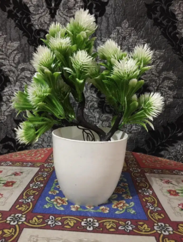 New 12 Sale is ON. Plants and Flowers with pots Available for sale