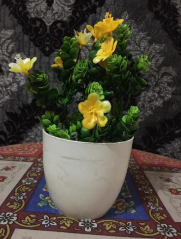 New 12 Sale is ON. Plants and Flowers with pots Available for sale