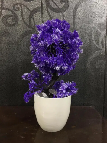 New 12 Sale is ON. Plants and Flowers with pots Available for sale