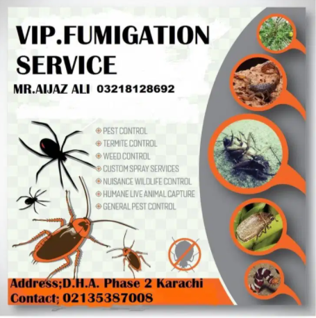 VIP Cockroach, Bed Bugs, Termite, Mosquitoes & Rats Control Services