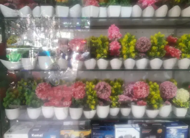 Artificial plants for decoration purposes Available for sale