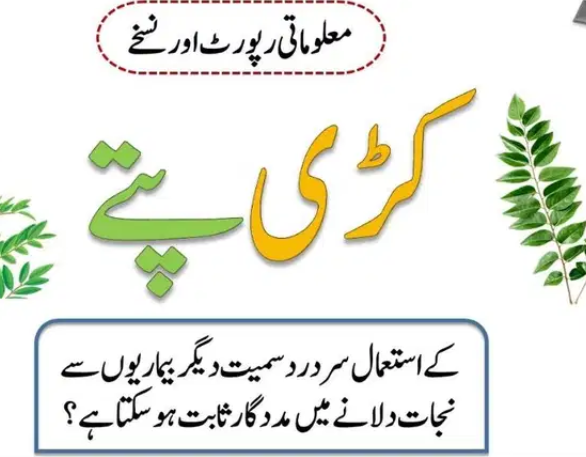 Kari Patta Plant Available for Sale in  Lahore