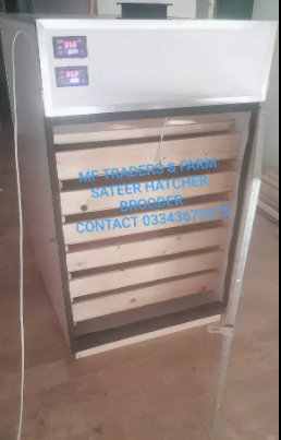 chicken duck quills ostrich Incubator Available for Sale