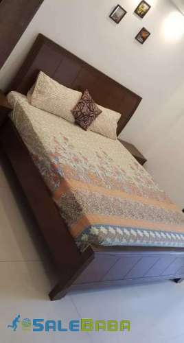 (Daily basis)Luxury 1 room apartment for friends/families for rent E-, Islamab
