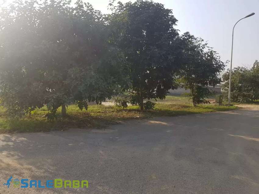 Prime Location 42 Marla Corner Plot Available For Sale DHA Phase 6, Lahore, Punj